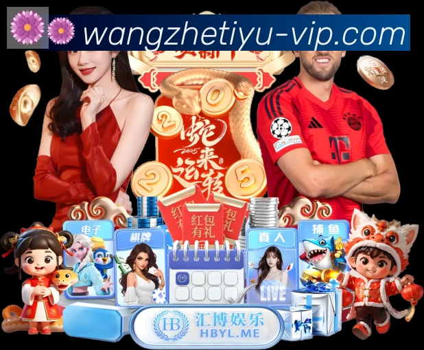 未来规划